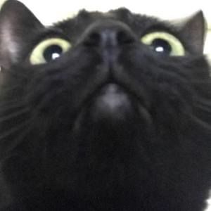 Meet your Posher, Jay